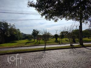 Image 39 - 239102