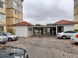 Image 26 - 239364