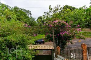 Image 31 - 239428