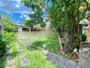 Image 35 - 239894