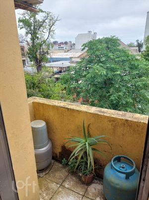 Image 15 - 240249