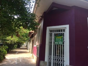 Image 14 - 240824