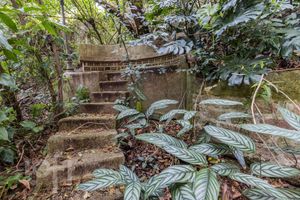 Image 42 - 241056