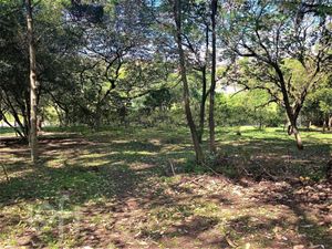 Image 24 - 241138
