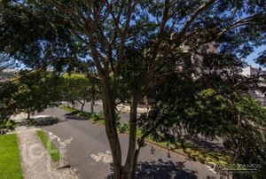 Image 33 - 241203