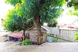 Image 25 - 241416