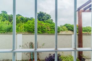 Image 31 - 241697