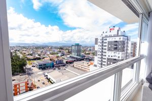 Image 3 - 241849