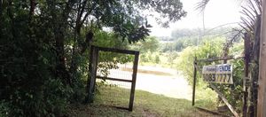 Image 3 - 242360