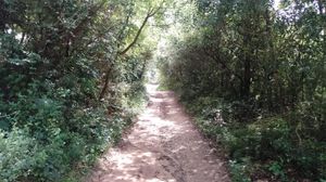 Image 4 - 242360