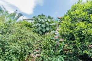 Image 33 - 242515