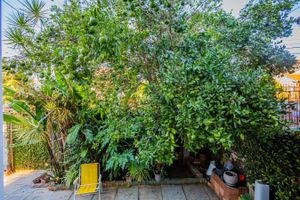 Image 16 - 242758