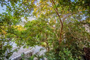 Image 88 - 242758