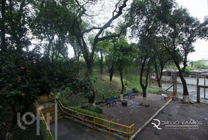 Image 12 - 243142