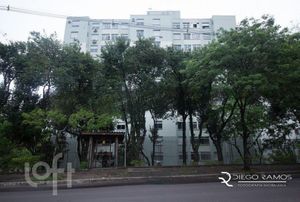 Image 13 - 243142