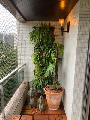 Image 29 - 243316