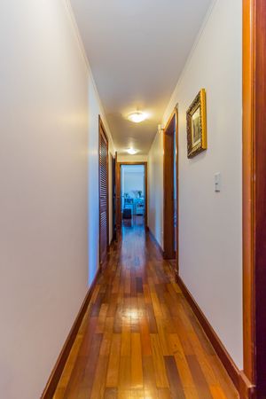 Image 63 - 243384