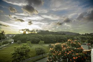 Image 26 - 243470