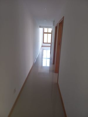 Image 7 - 243583