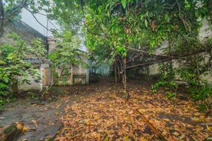 Image 25 - 243673