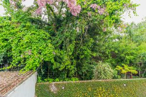 Image 36 - 243811