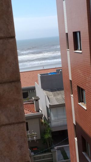 Image 7 - 243818