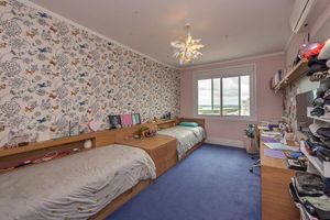 Image 19 - 243862