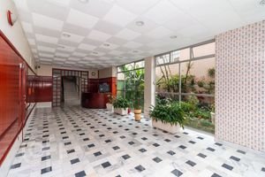 Image 32 - 243894