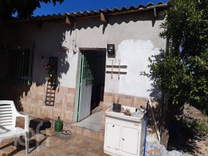 Image 9 - 243901