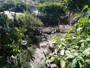 Image 10 - 243901