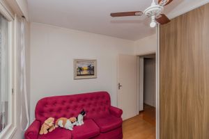 Image 9 - 243944