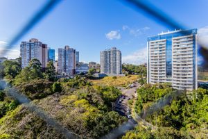 Image 11 - 243993