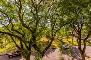 Image 7 - 244321
