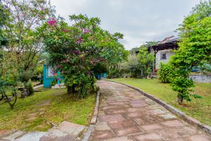 Image 3 - 244809