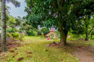 Image 6 - 244809