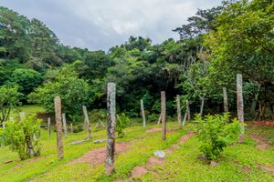 Image 9 - 244809