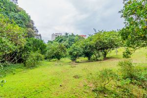 Image 14 - 244809
