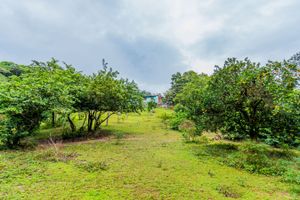 Image 15 - 244809