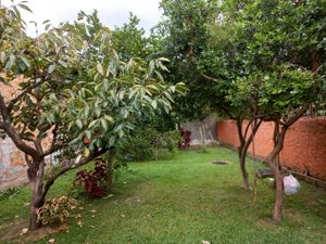 Image 28 - 244811