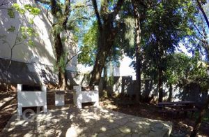 Image 36 - 244849