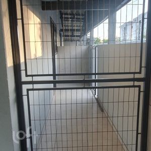 Image 19 - 244887