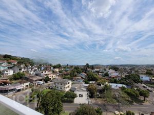 Image 13 - 244897