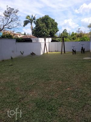 Image 31 - 244897