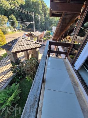Image 9 - 244909