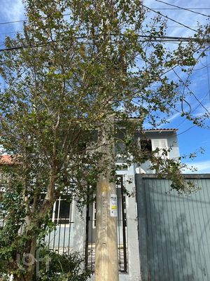 Image 34 - 244949