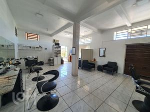 Image 13 - 244966
