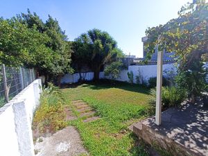 Image 24 - 244987