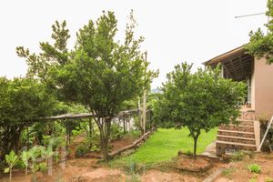 Image 25 - 244993