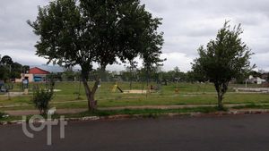 Image 5 - 245069