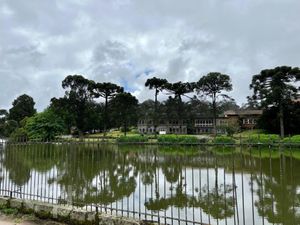 Image 16 - 245077